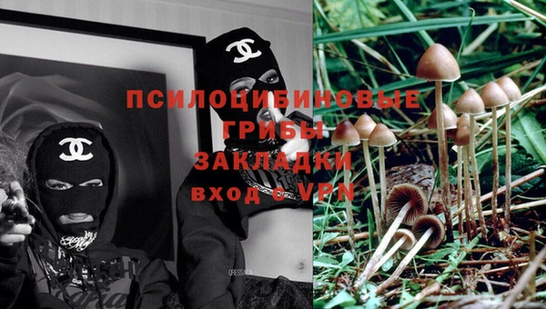 первитин Кукмор