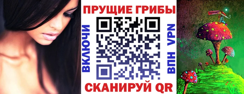 Купить  Ростов  Галлюциногенные грибы мицелий 